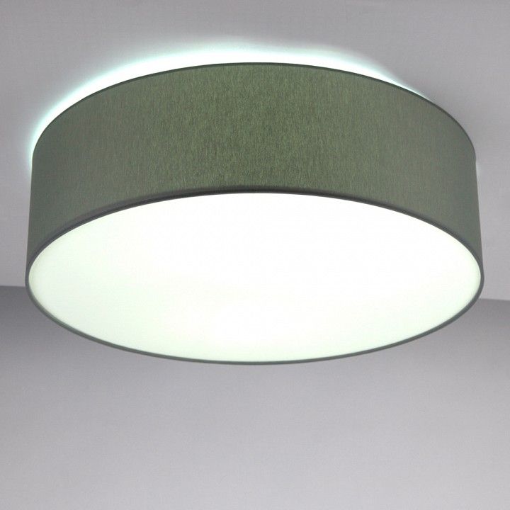 Накладной светильник Lighthall Camerona 65 LH022028