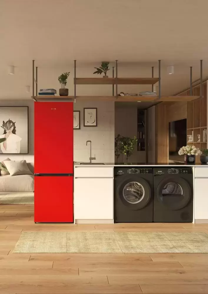 Двухкамерный холодильник Gorenje NRK6192CRD4