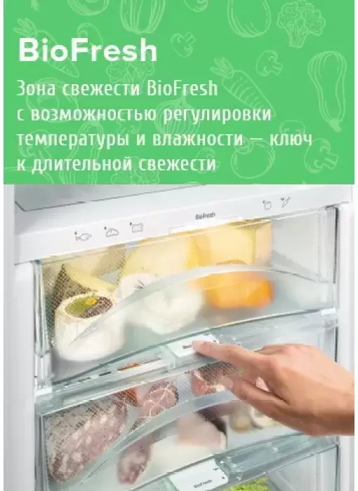 Холодильник Liebherr KBef 3730 Comfort
