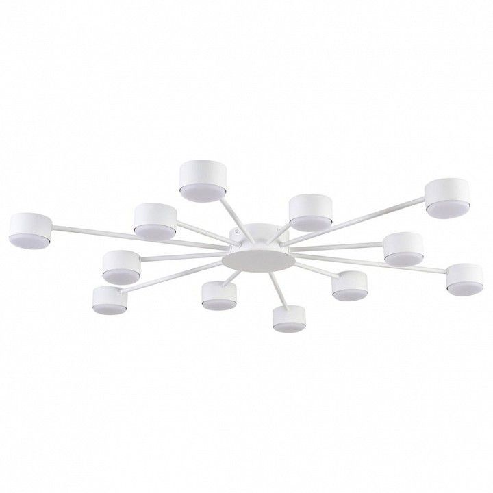 Потолочная люстра Lumion TORINA 8343/12C