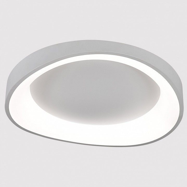 Накладной светильник Arte Lamp None A2698PL-60WH