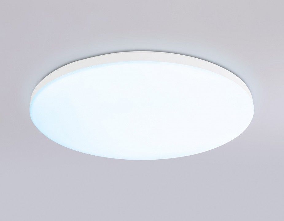Накладной светильник Ambrella Light FZ FZ2001