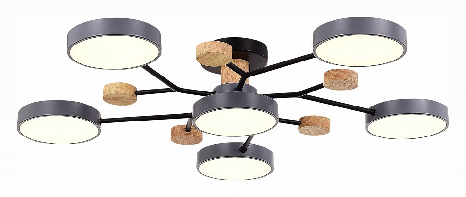 Потолочная люстра EVOLUCE Faema SLE6006-702-06