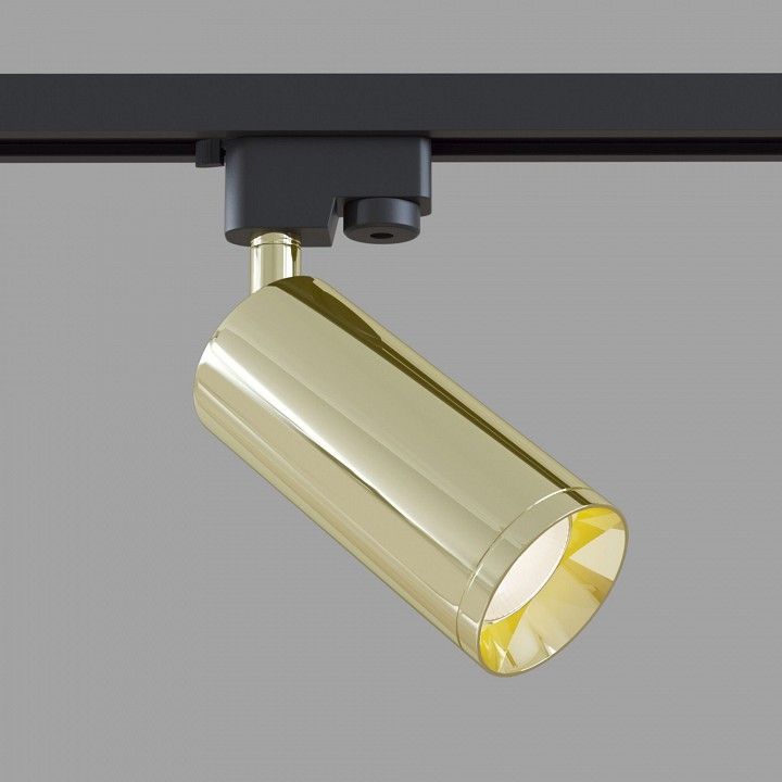 Светильник на штанге Maytoni Technical Focus TR004-1-GU10-G