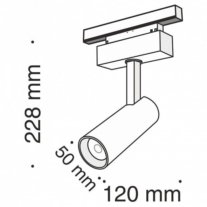 Светильник на штанге Maytoni Technical Фокус TR019-2-10W3K-B