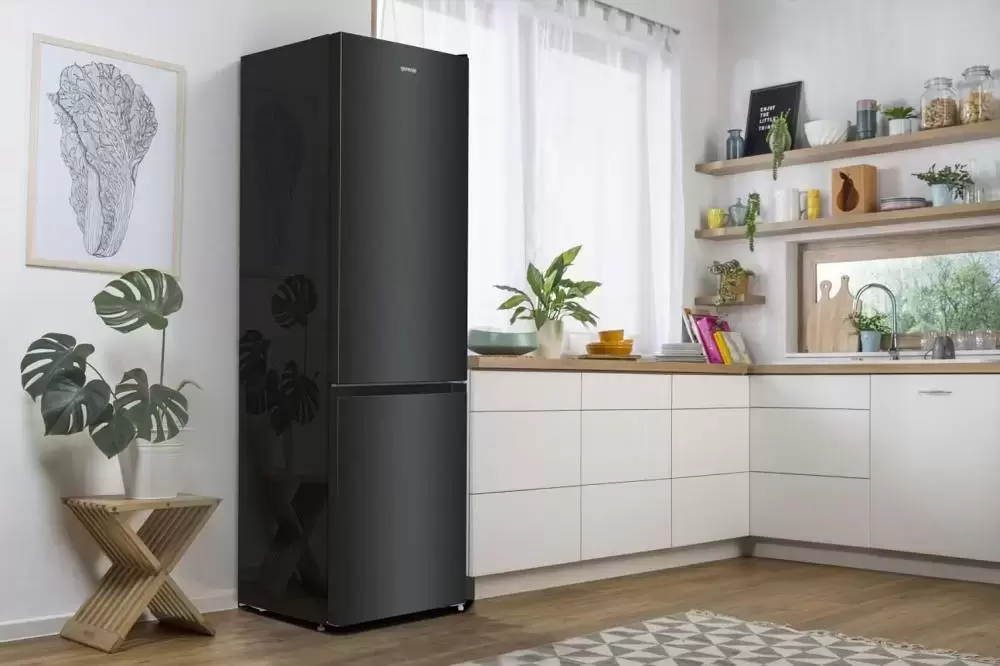 Отдельностоящий холодильник Gorenje NRK6202EBXL4