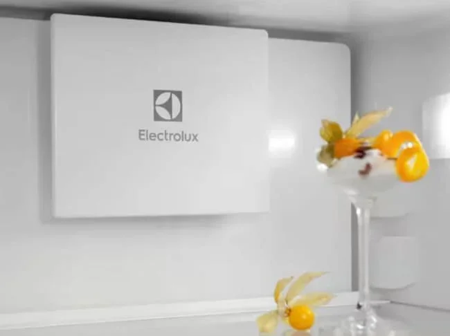 Встраиваемый холодильник Electrolux ENT6ME19S