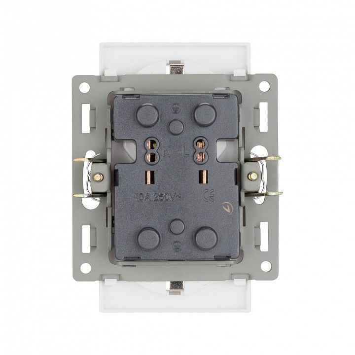 Розетка двойная с заземлением, без рамки Arlight SCT 043766