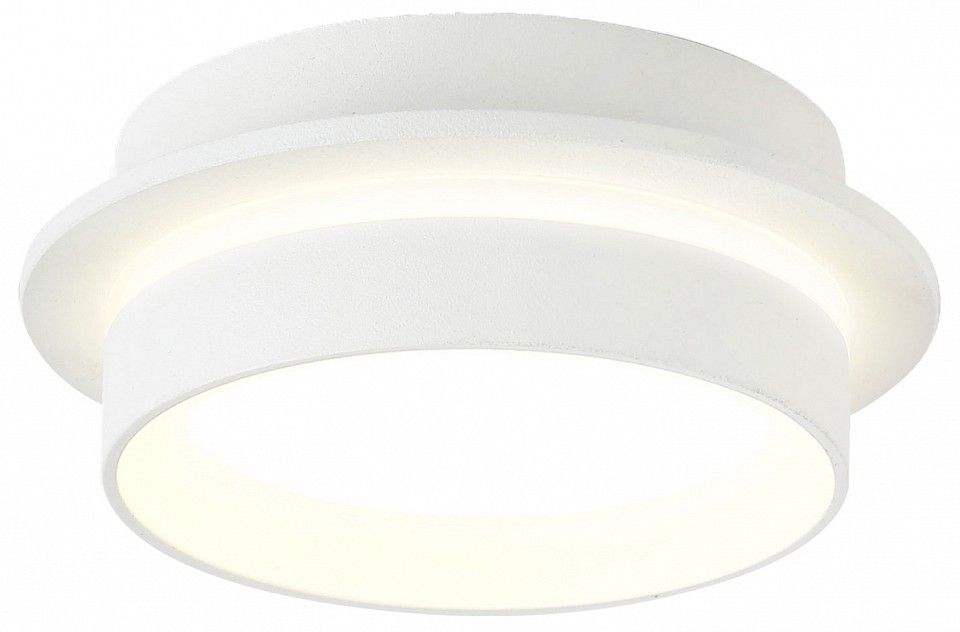 Накладной светильник Ambrella Light TN TN5383