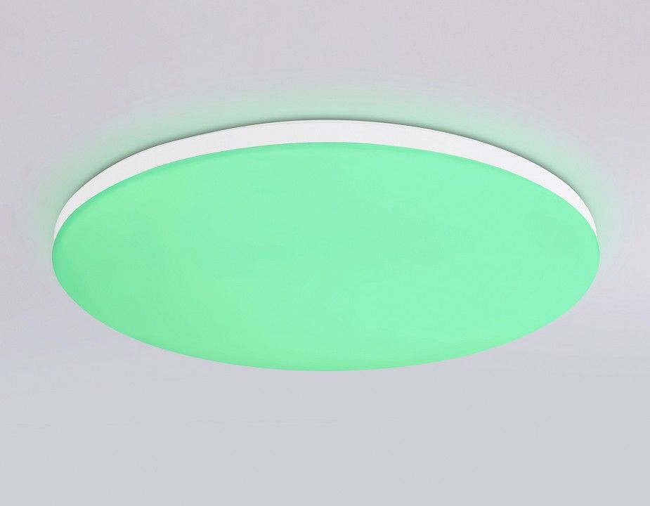 Накладной светильник Ambrella Light FZ FZ2002