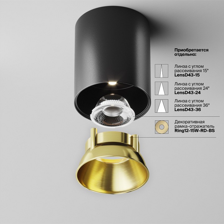Накладной светильник Maytoni Technical Alfa LED C064CL-12W4K-RD-B