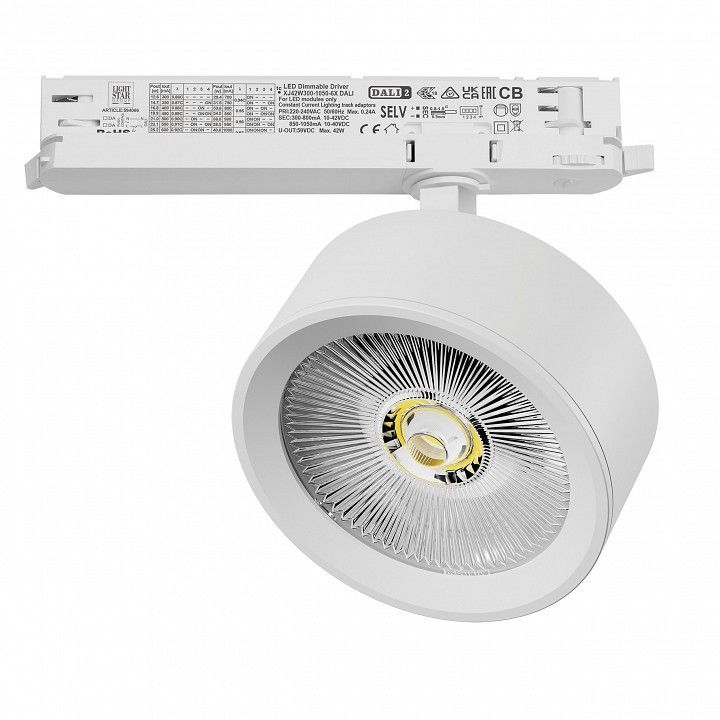 Светильник на штанге Lightstar Alta Pro A5646DALI