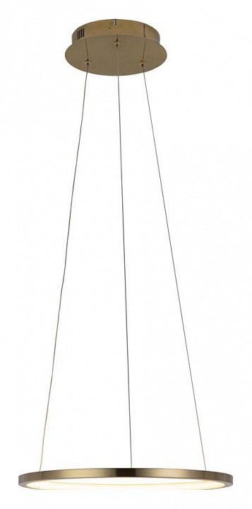 Подвесной светильник Loft it Ring 10014S