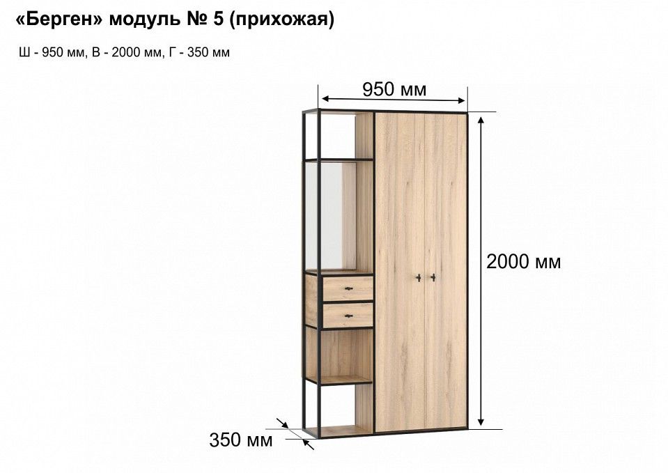Шкаф платяной Берген-5