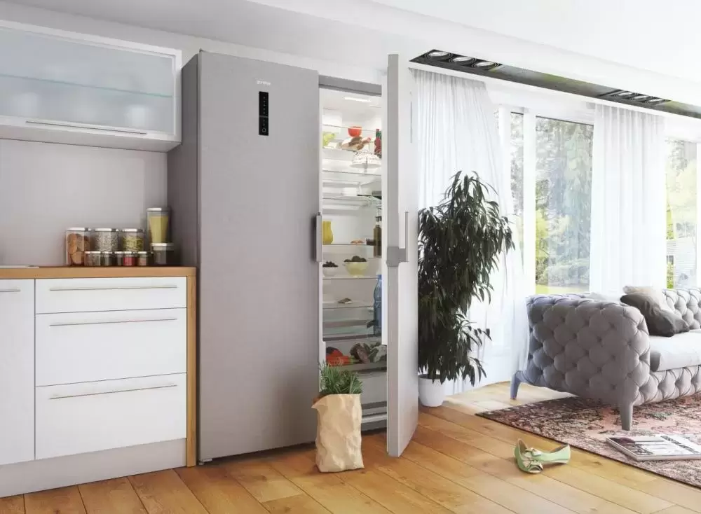 Однокамерный холодильник Gorenje R 6192 LX