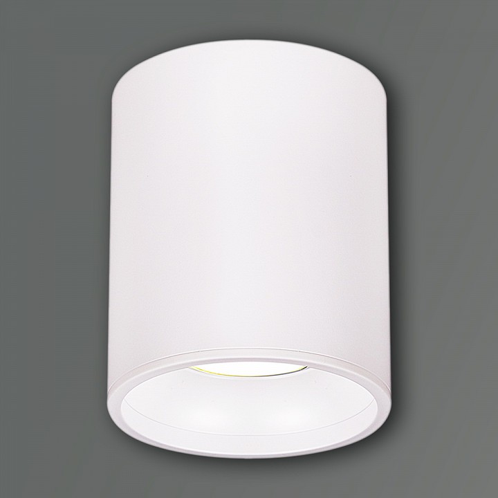 Накладной светильник Reluce 16132 16132-9.5-001CN MR16 WT