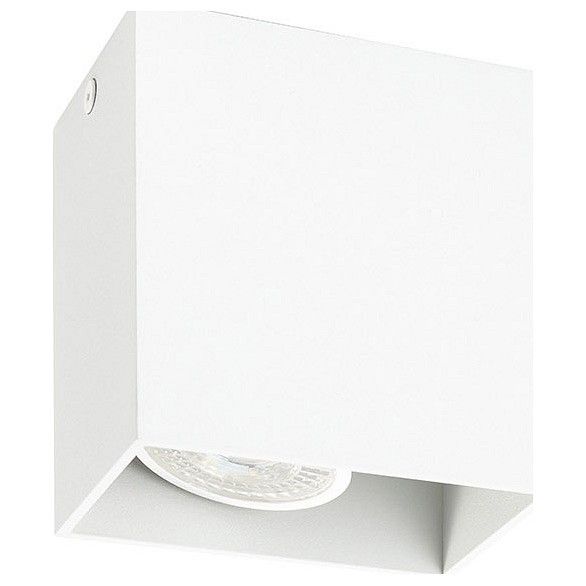 Накладной светильник Denkirs DK2005 DK2027-WH Накладной светильник Denkirs DK2005 DK2027-WH