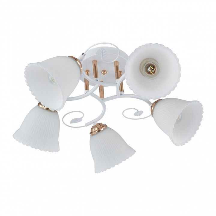 Потолочная люстра Arte Milano AMALFI-325395 325395/5A WH+FG