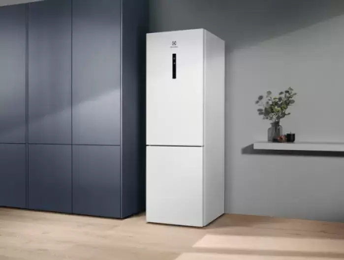 Холодильник Electrolux RNC7ME32W2
