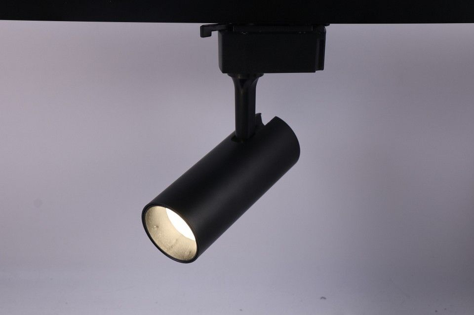 Светильник на штанге Эра  TR5-10 COB BK