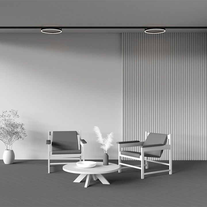 Накладной светильник Maytoni Technical Рим TR227-2-24W3K-B