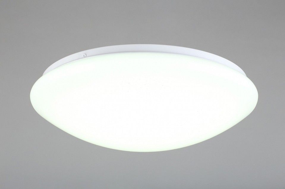 Накладной светильник Omnilux Berkeley OML-43007-40