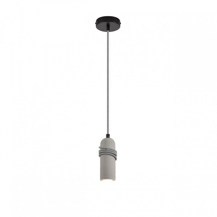 Подвесной светильник Lumion ECO 8365/1A