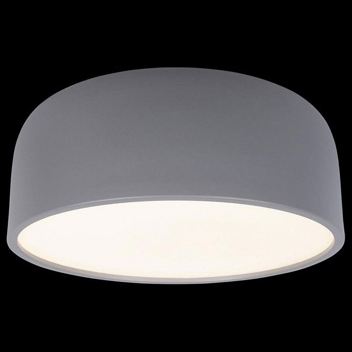 Накладной светильник Loft it Axel 10201/350 Grey