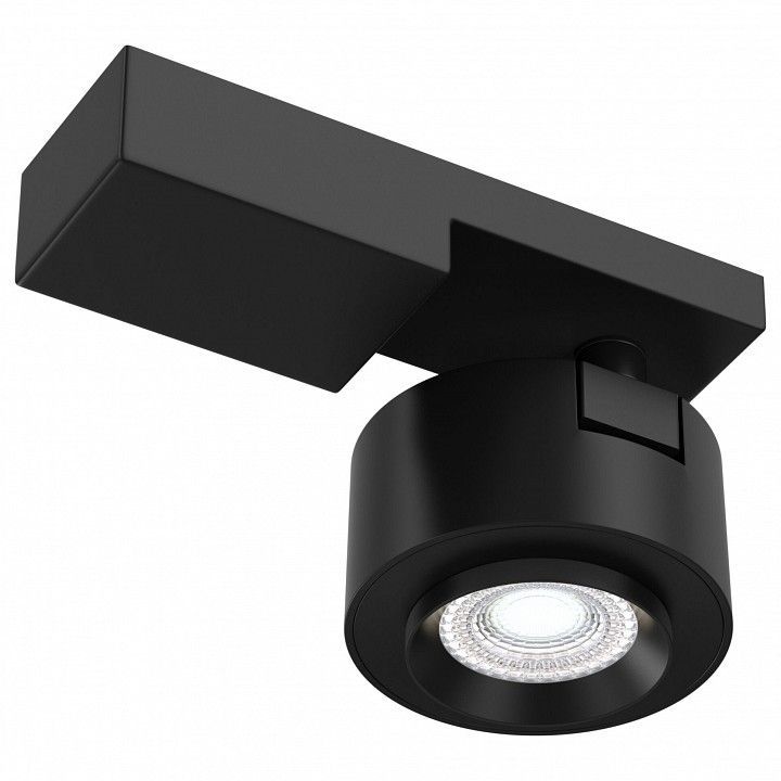 Светильник на штанге Maytoni Technical Treo C062CL-L12B4K