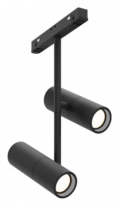 Светильник на штанге Maytoni Technical Элти дуэт TR005-2-2X12W3K-B