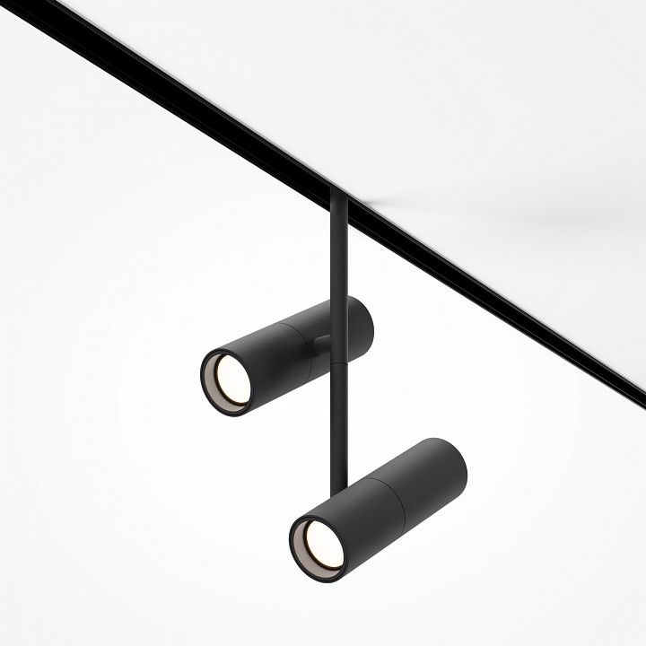 Светильник на штанге Maytoni Technical Элти дуэт TR005-2-2X12W3K-B
