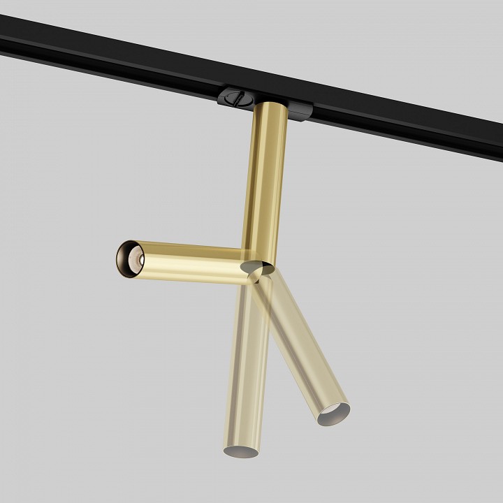 Светильник на штанге Maytoni Technical Focus T TR142-1-6W3K-BS