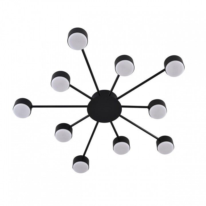 Потолочная люстра Lumion TORINA 8344/10C