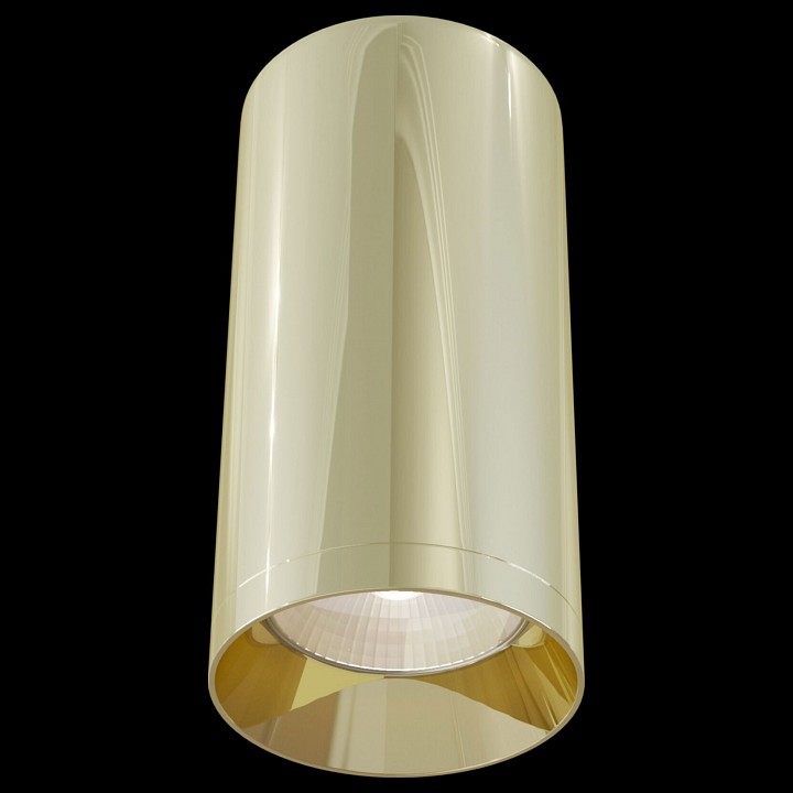 Накладной светильник Maytoni Technical Focus C010CL-01G