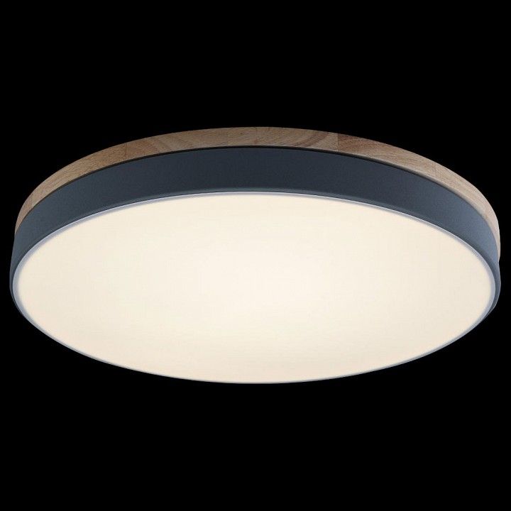 Накладной светильник Loft it Axel 10001/36 Grey