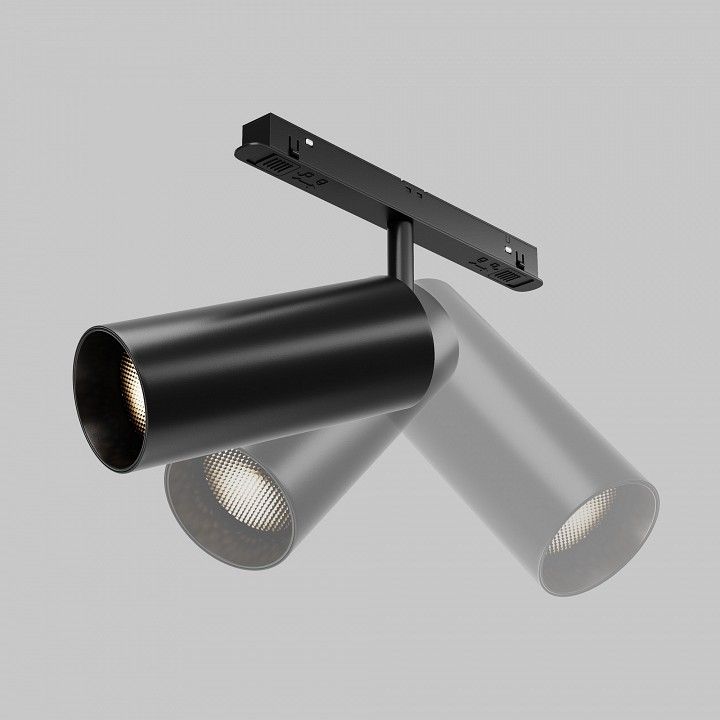Светильник на штанге Maytoni Technical Фокус TR032-2-20W2.7K-M-B