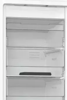 Морозильный шкаф Gorenje FN61CSY2W