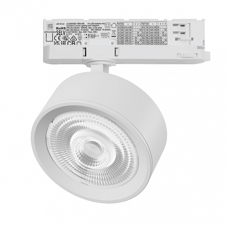 Светильник на штанге Lightstar Alta Pro A5636QT60G