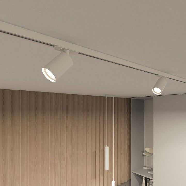 Светильник на штанге Denkirs DK620 DK6201-WH