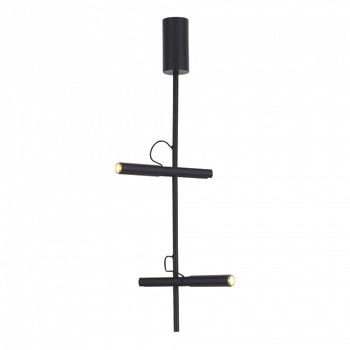 Светильник на штанге ST-Luce LILT SL6210.403.02