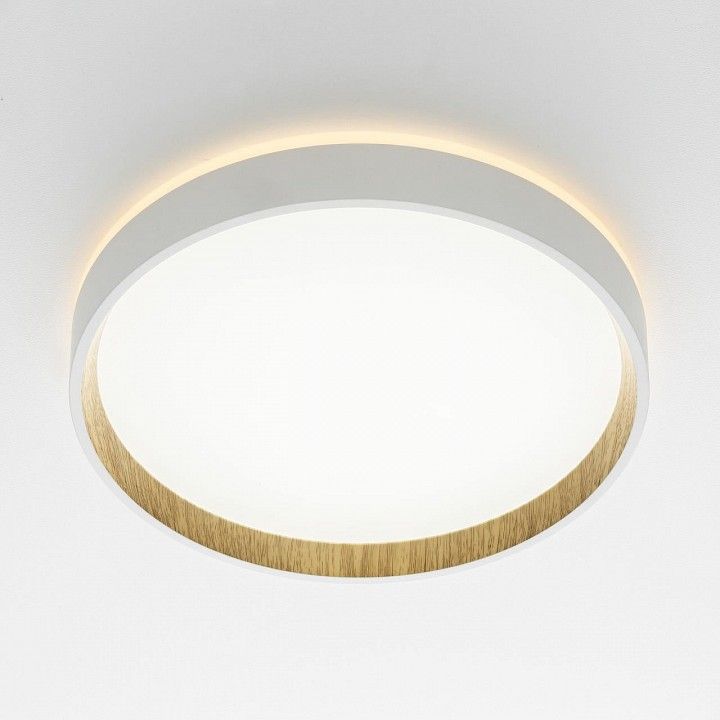 Накладной светильник Citilux Etalon CL750240