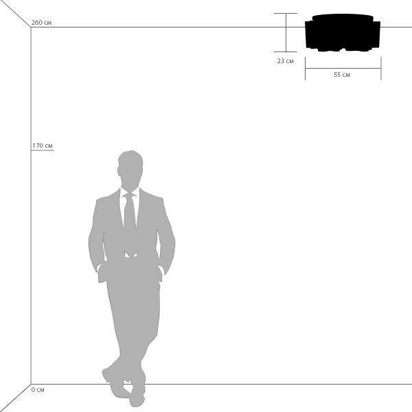 Накладной светильник Lightstar Nubi 802075