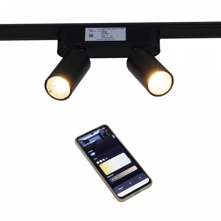 Светильник на штанге Reluce 13005 13005-9.3-002UR magnetic LED2x5W BK CCT+SMART