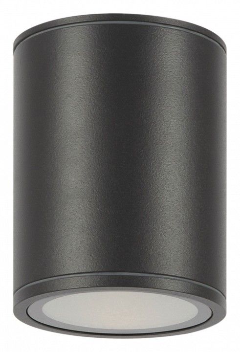 Накладной светильник Maytoni Outdoor Бар O306CL-L12GF
