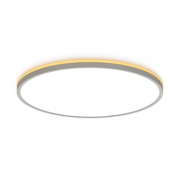 Накладной светильник Citilux Norma CL748500