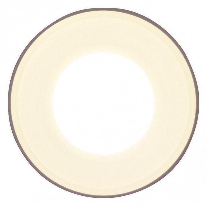 Накладной светильник Ambrella Light TN TN3202