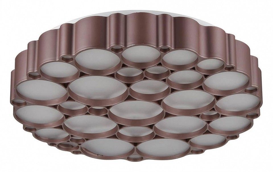 Накладной светильник Vele Luce Bible VL7156L01