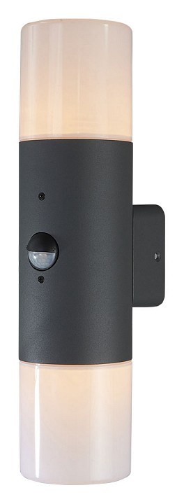 Светильник на штанге Escada Garden 534/2A