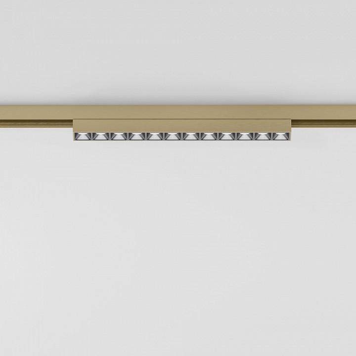 Накладной светильник Elektrostandard  85528/01