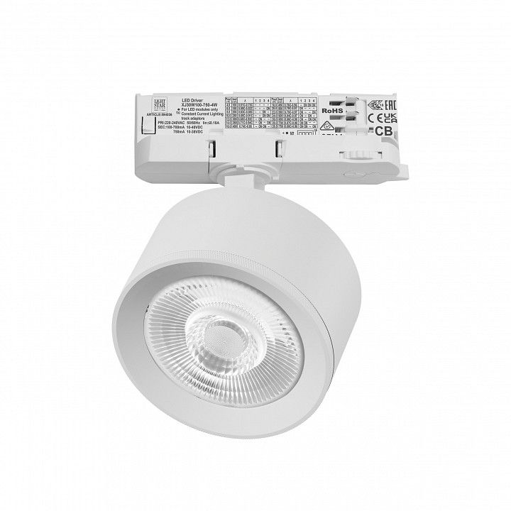 Светильник на штанге Lightstar Alta Pro A5536QT60G